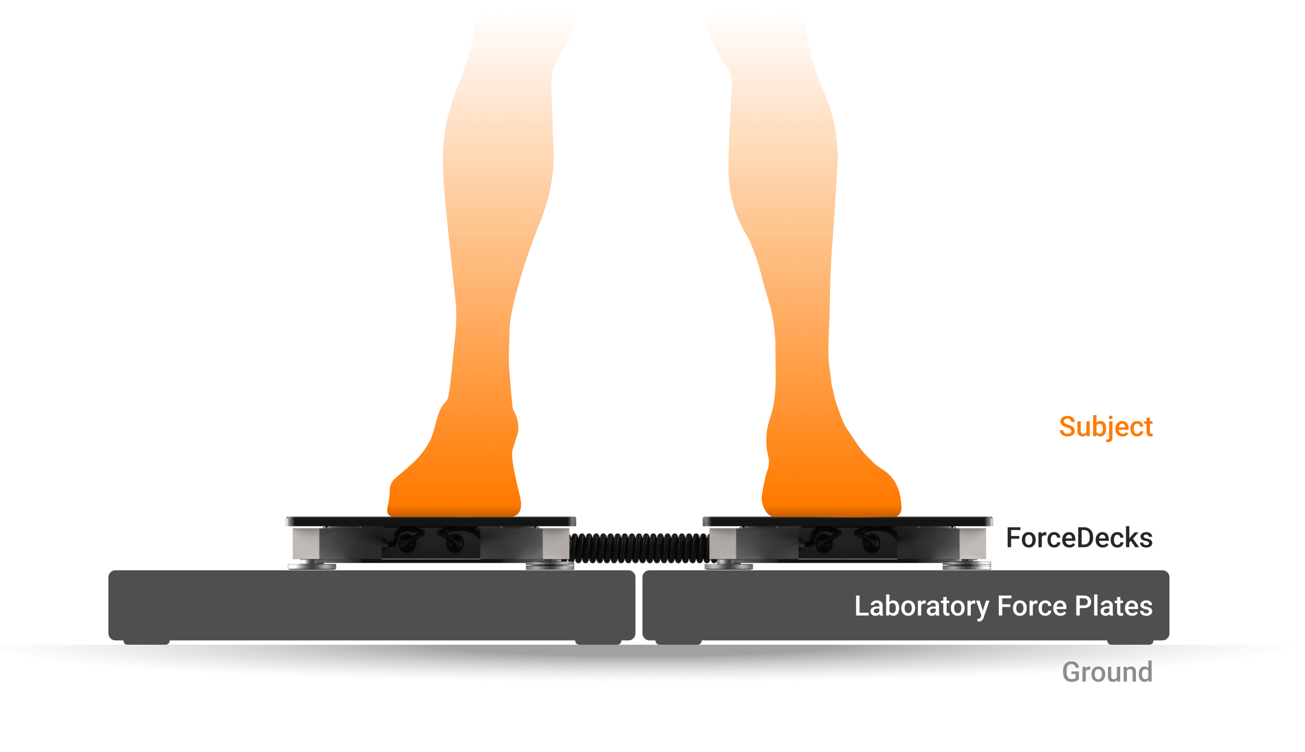 ForceDecks were placed atop AMTI plates so that data could be captured simultaneously.