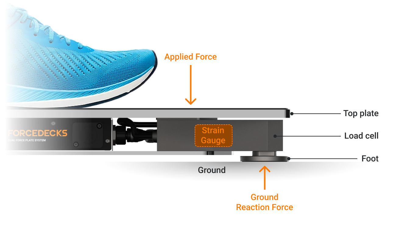 Newton’s third law in action – a strain gauge inside a load cell used to measure the force applied to the top plate.